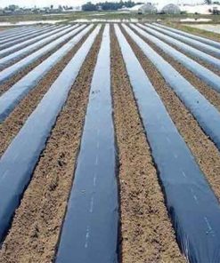 Màng phủ nông nghiệp - Mẫu 3