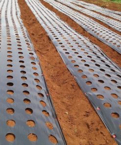 Màng phủ nông nghiệp - Mẫu 4